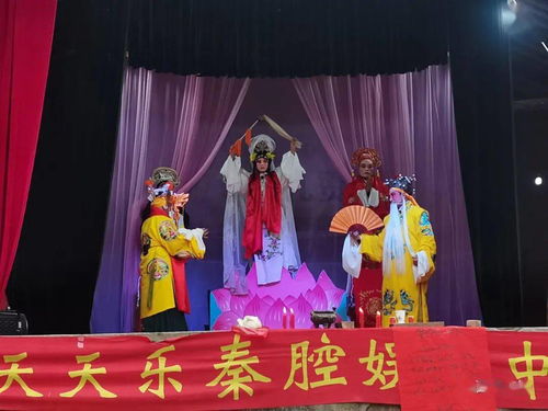 重阳节西和县民间文化组织在观山自发演出